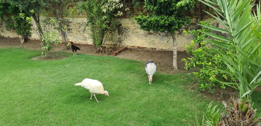 TECH SOCIETY FARM HOUSE 53