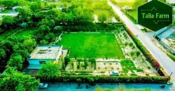 RAIWIND ROAD FARMHOUSE 96