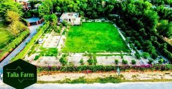 RAIWIND ROAD FARMHOUSE 96