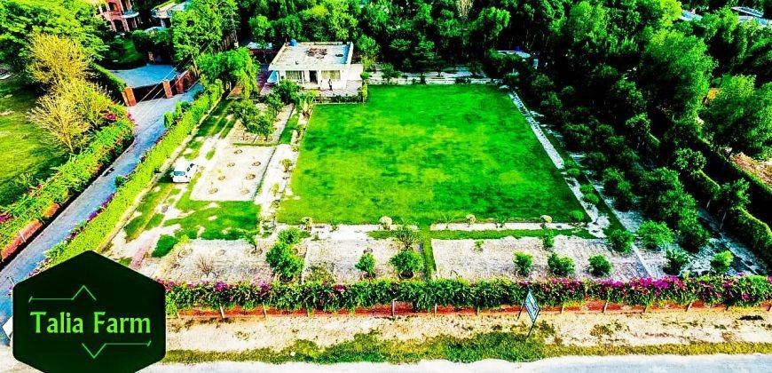 RAIWIND ROAD FARMHOUSE 96