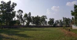 DHA FARMHOUSE 74