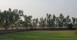 DHA FARMHOUSE 74