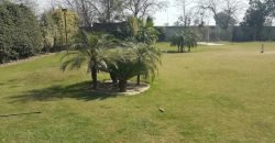 DHA PHASE 5 FARMHOUSE 309