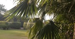 DHA PHASE 5 FARMHOUSE 309