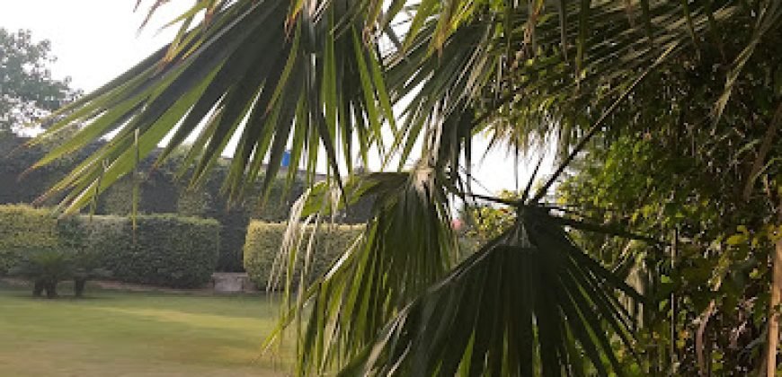 DHA PHASE 5 FARMHOUSE 309