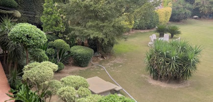 DHA PHASE 5 FARMHOUSE 309