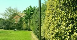 DHA PHASE 5 FARMHOUSE 309