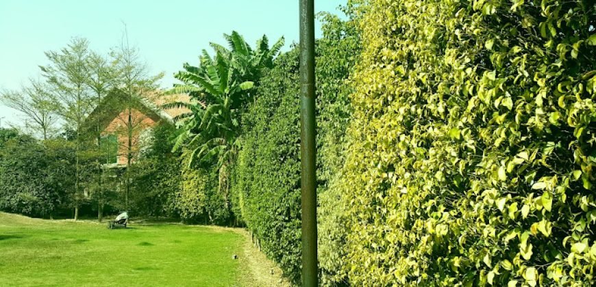 DHA PHASE 5 FARMHOUSE 309