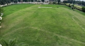 BAHRIA TOWN FARMHOUSE 55