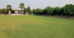 BARKI ROAD FARMHOUSE 194