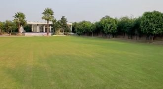 BARKI ROAD FARMHOUSE 194