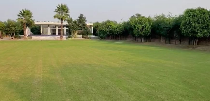 BARKI ROAD FARMHOUSE 194