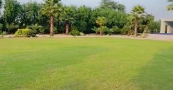 BARKI ROAD FARMHOUSE 194