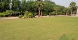 BARKI ROAD FARMHOUSE 194