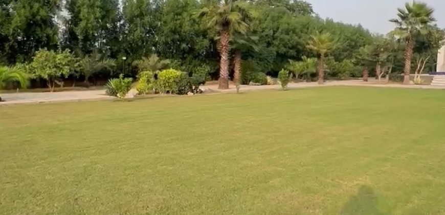 BARKI ROAD FARMHOUSE 194