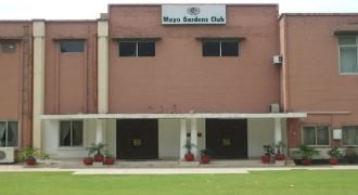 MAYO GARDEN DELIGHT MARQUEE 51