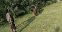 GREEN ACAER FARMHOUSE 292