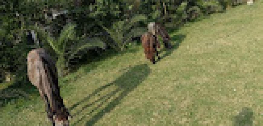 GREEN ACAER FARMHOUSE 292