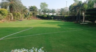 BEDIAN ROAD FARMHOSUE (04) 319