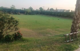 THOKER FARMHOUSE 278