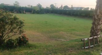 THOKER FARMHOUSE 278