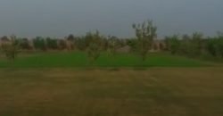 BARKI ROAD FARMHOUSE 143