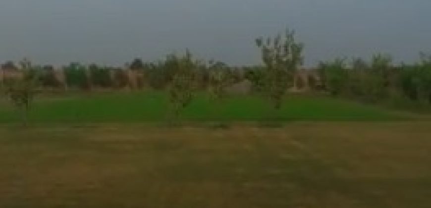 BARKI ROAD FARMHOUSE 143