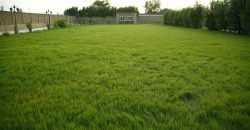 BEDIAN ROAD FARMHOUSE 138