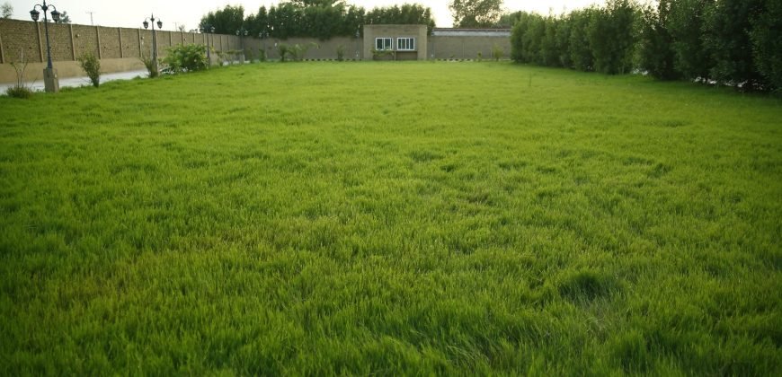 BEDIAN ROAD FARMHOUSE 138