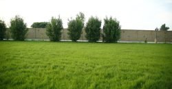 BEDIAN ROAD FARMHOUSE 138