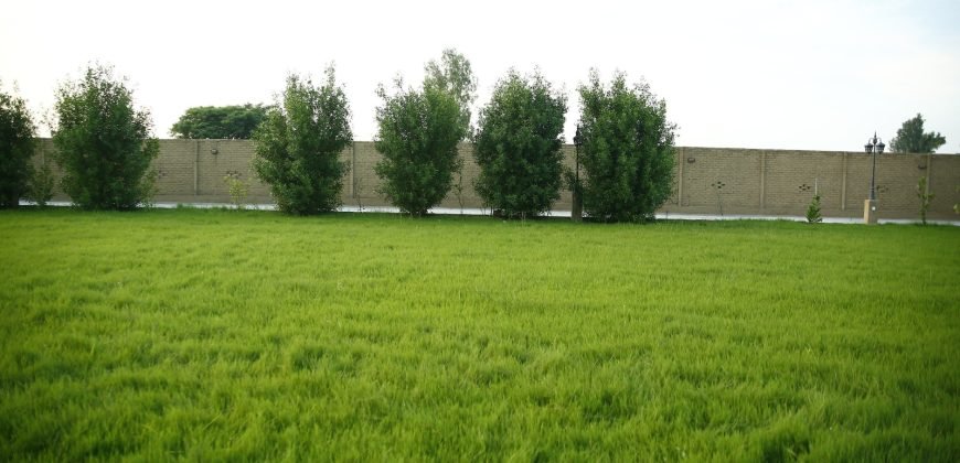 BEDIAN ROAD FARMHOUSE 138