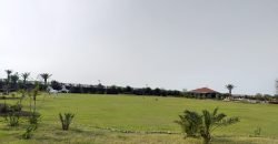 BEDIAN ROAD FARMHOUSE 164