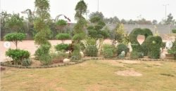 FEROZUPUR ROAD FARMHOUSE 308