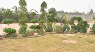 FEROZUPUR ROAD FARMHOUSE 308