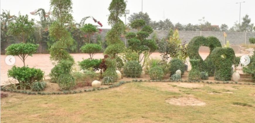 FEROZUPUR ROAD FARMHOUSE 308