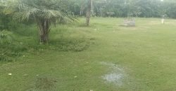 MULTAN ROAD FARMHOUSE 192