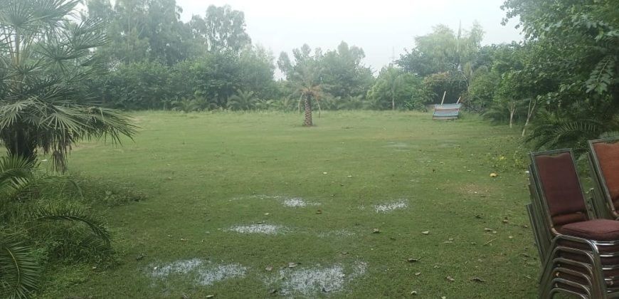 MULTAN ROAD FARMHOUSE 192