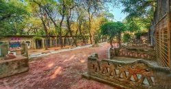 QASOR ROAD FARMHOUSE 10