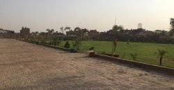 SAGGIAN FARMHOUSE 31