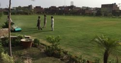 SAGGIAN FARMHOUSE 31