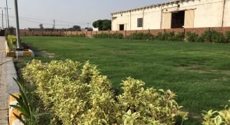 SAGGIAN FARMHOUSE 31