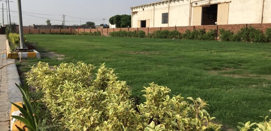 SAGGIAN FARMHOUSE 31