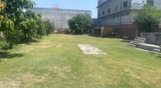 SHAHDRA FARMHOUSE 119