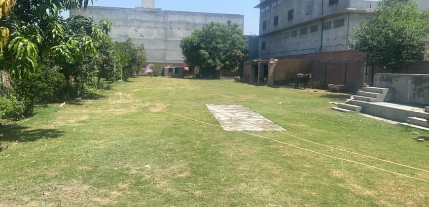 SHAHDRA FARMHOUSE 119