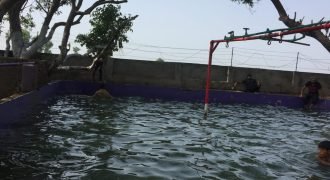 SHAHDARA SWIMMING POOL 37