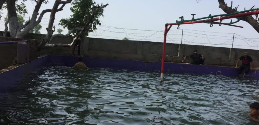 SHAHDARA SWIMMING POOL 37