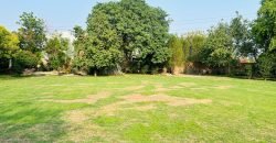 WAPDA TOWN FARMHOUSE 268