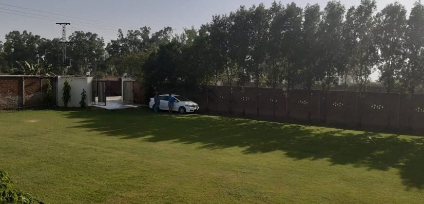 FAIZPUR INTER  FARMHOUSE 147