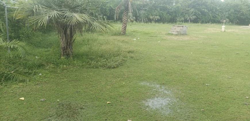 MULTAN ROAD FARMHOUSE 192