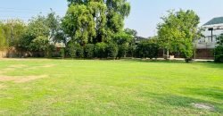 WAPDA TOWN FARMHOUSE 268